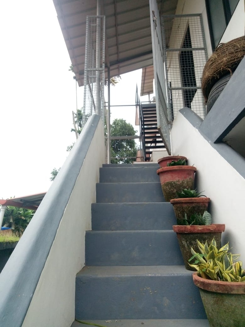 AryaBhadra Cottages in Edappally near Lulu Mall